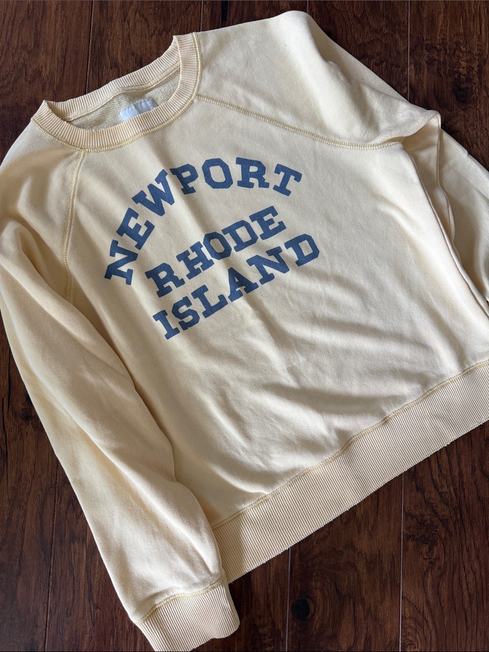 American Eagle Outfitters Crewneck Sweatshirt